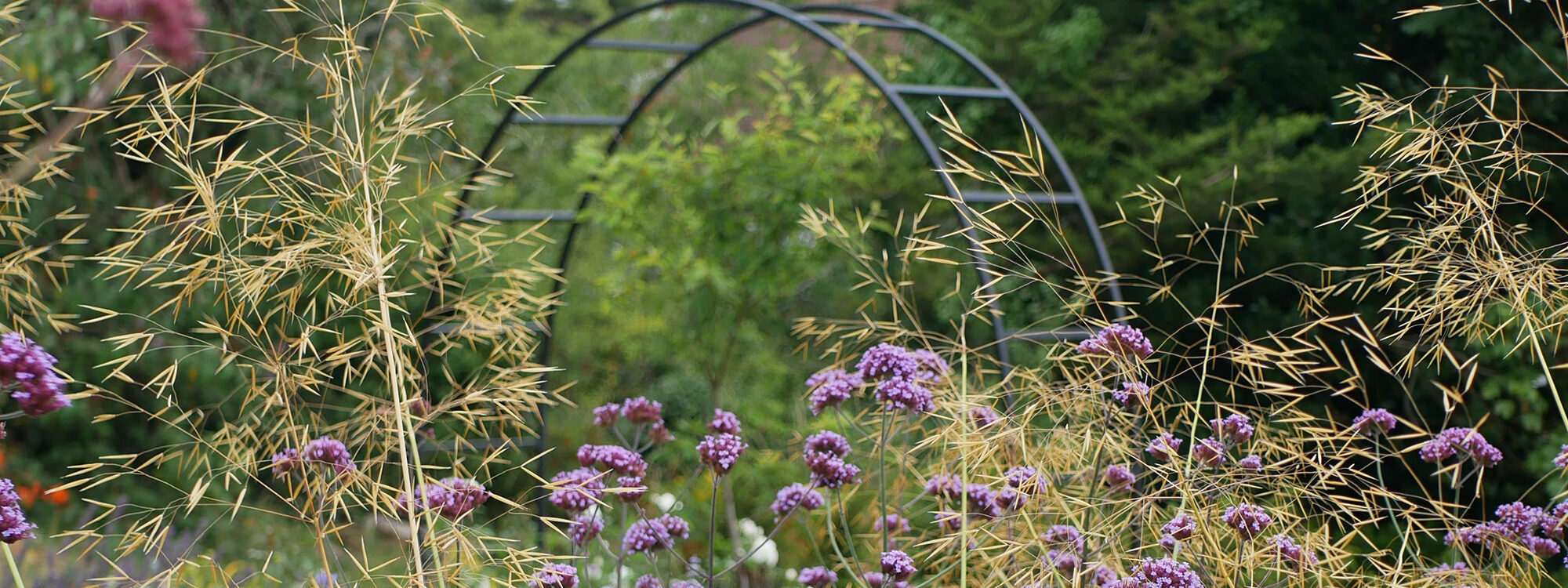 Henry Agg Garden Design